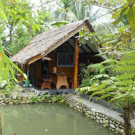 Magpie Homestay & Jungle Trekking Especially For Guest Trekking With Us בוקיט לוואנג מראה חיצוני תמונה