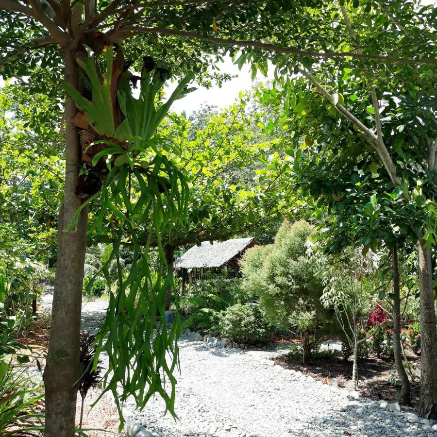 Magpie Homestay & Jungle Trekking Especially For Guest Trekking With Us בוקיט לוואנג מראה חיצוני תמונה