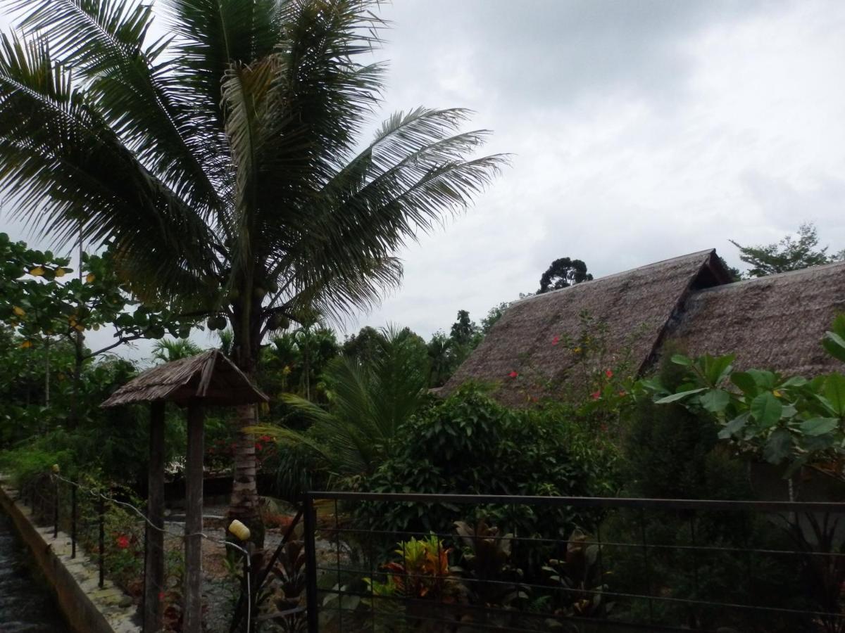 Magpie Homestay & Jungle Trekking Especially For Guest Trekking With Us בוקיט לוואנג מראה חיצוני תמונה