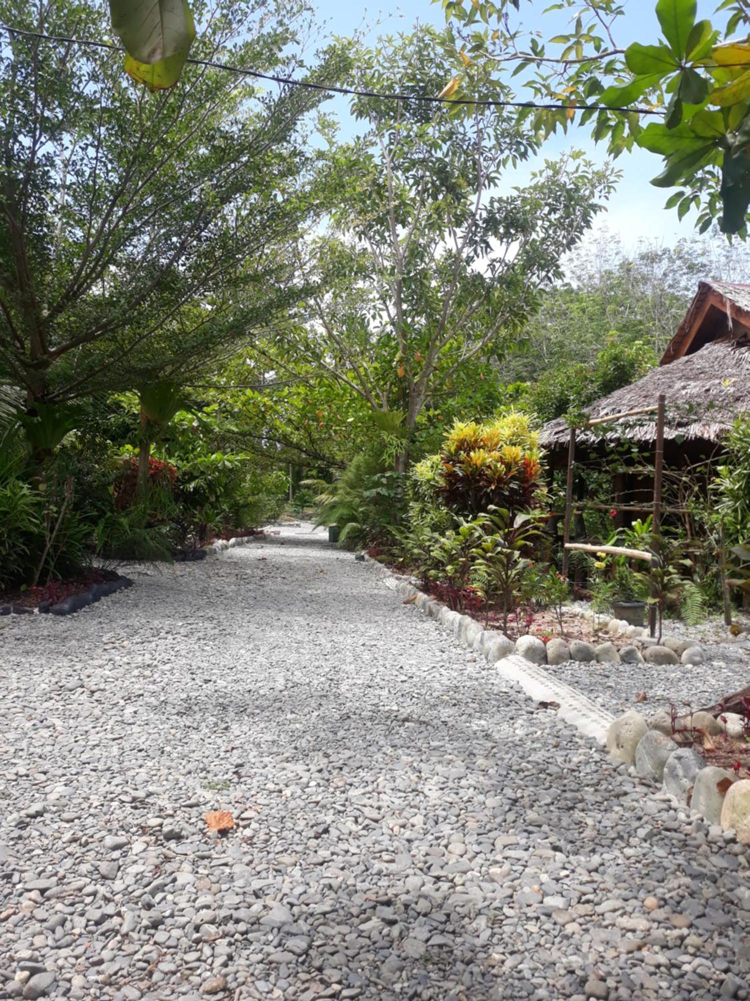 Magpie Homestay & Jungle Trekking Especially For Guest Trekking With Us בוקיט לוואנג מראה חיצוני תמונה