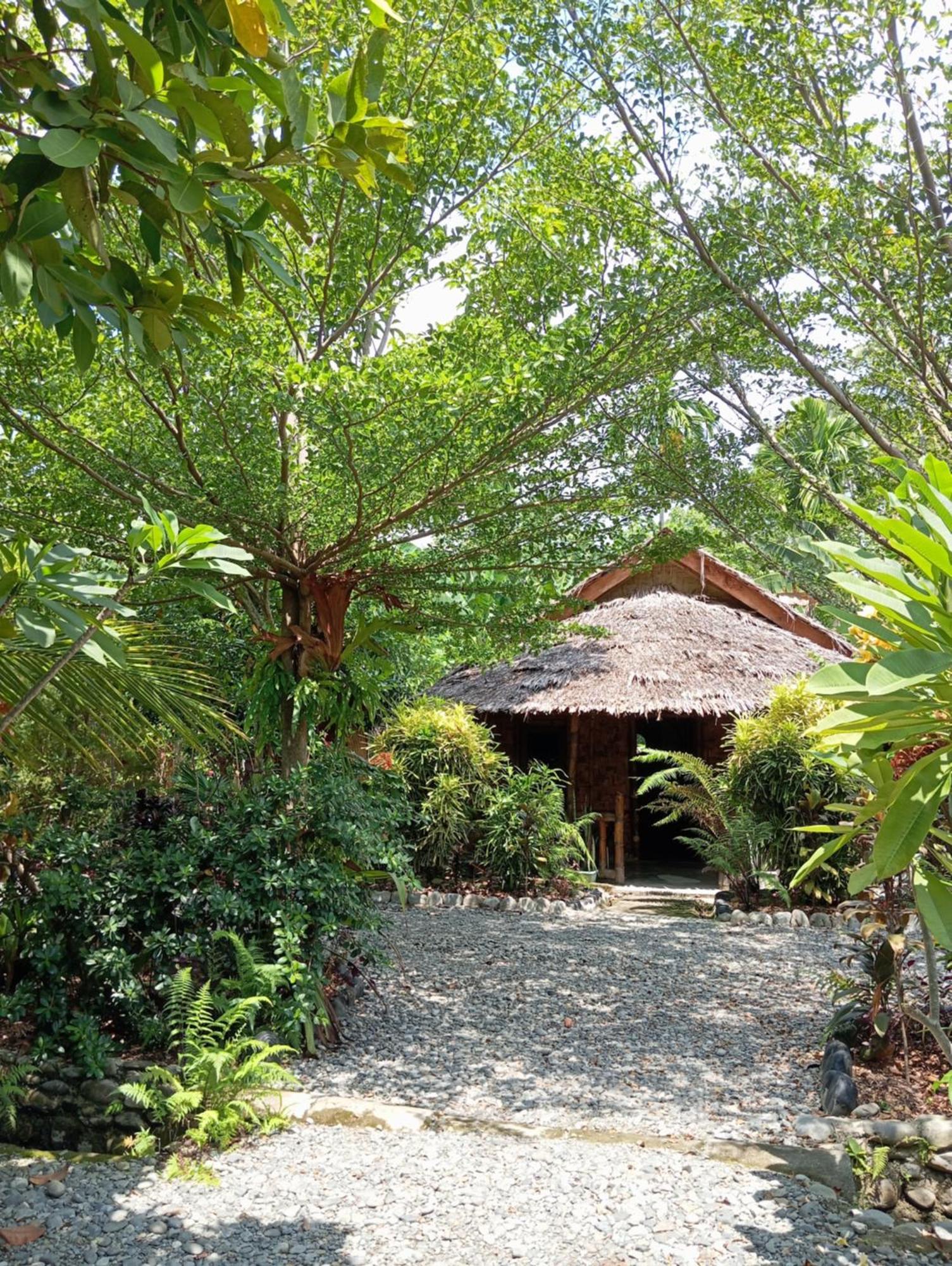 Magpie Homestay & Jungle Trekking Especially For Guest Trekking With Us בוקיט לוואנג מראה חיצוני תמונה