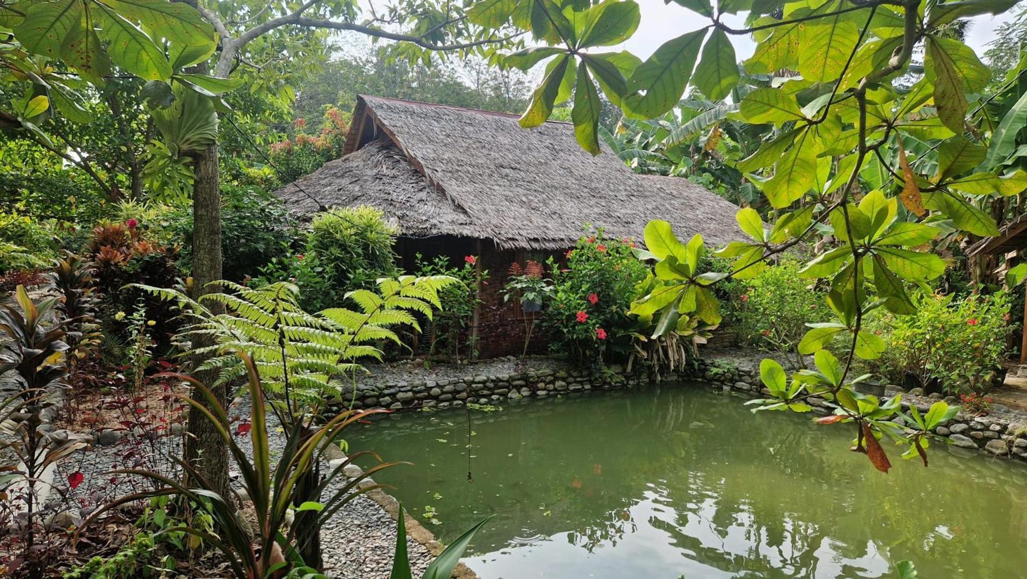 Magpie Homestay & Jungle Trekking Especially For Guest Trekking With Us בוקיט לוואנג מראה חיצוני תמונה