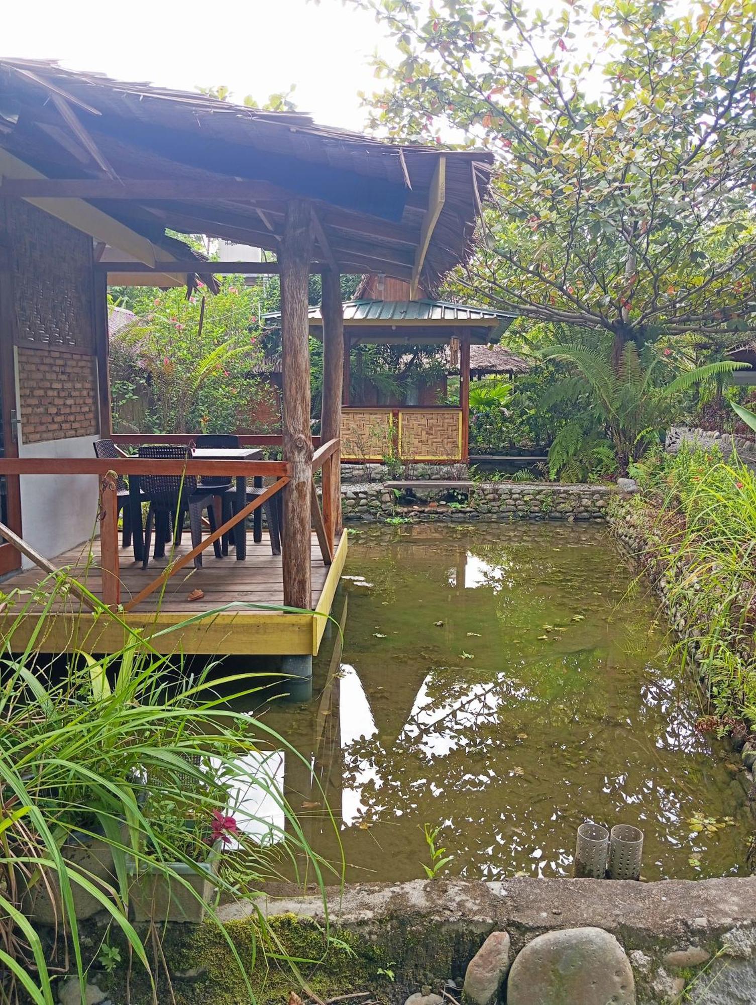 Magpie Homestay & Jungle Trekking Especially For Guest Trekking With Us בוקיט לוואנג חדר תמונה
