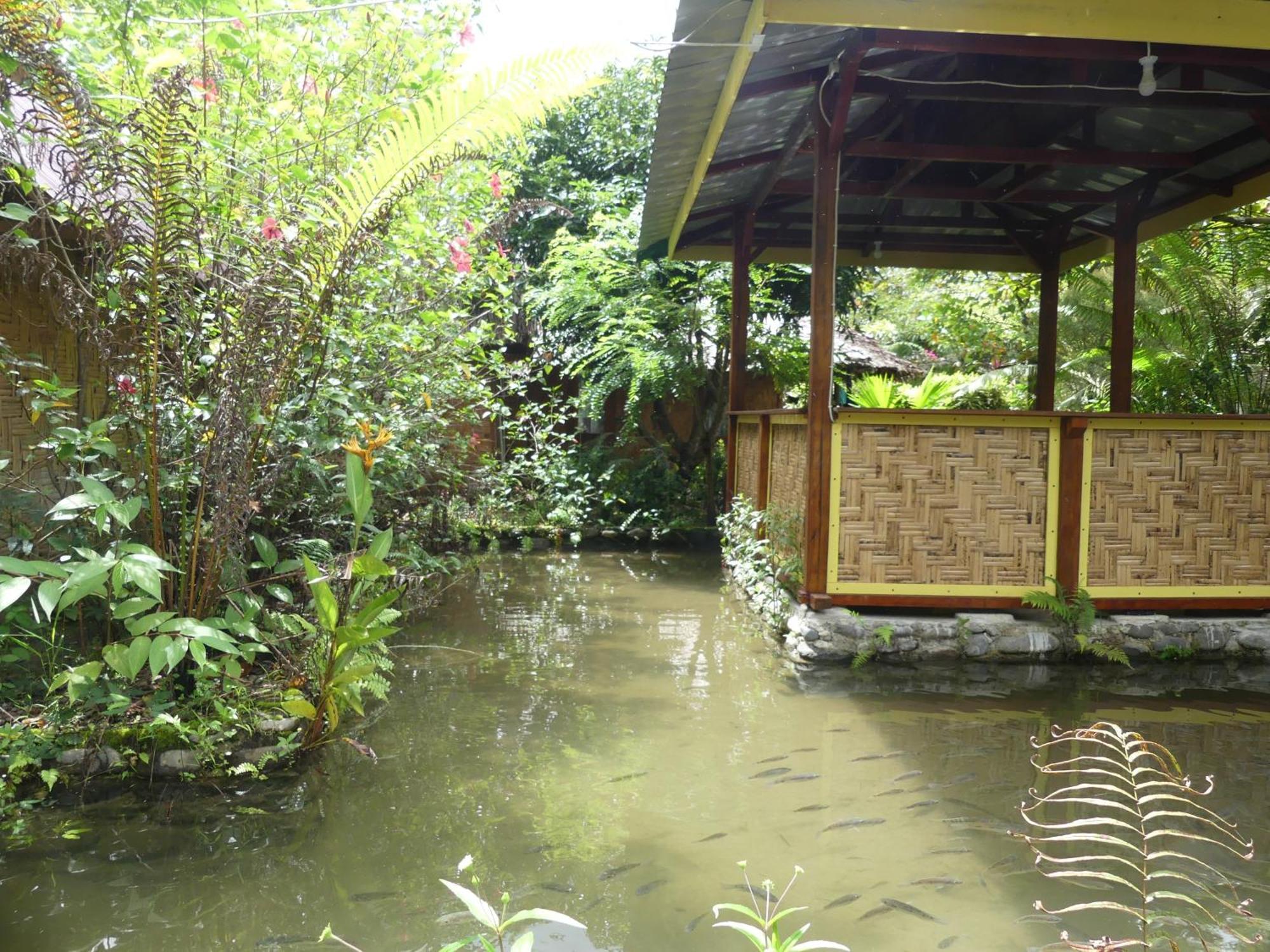 Magpie Homestay & Jungle Trekking Especially For Guest Trekking With Us בוקיט לוואנג חדר תמונה