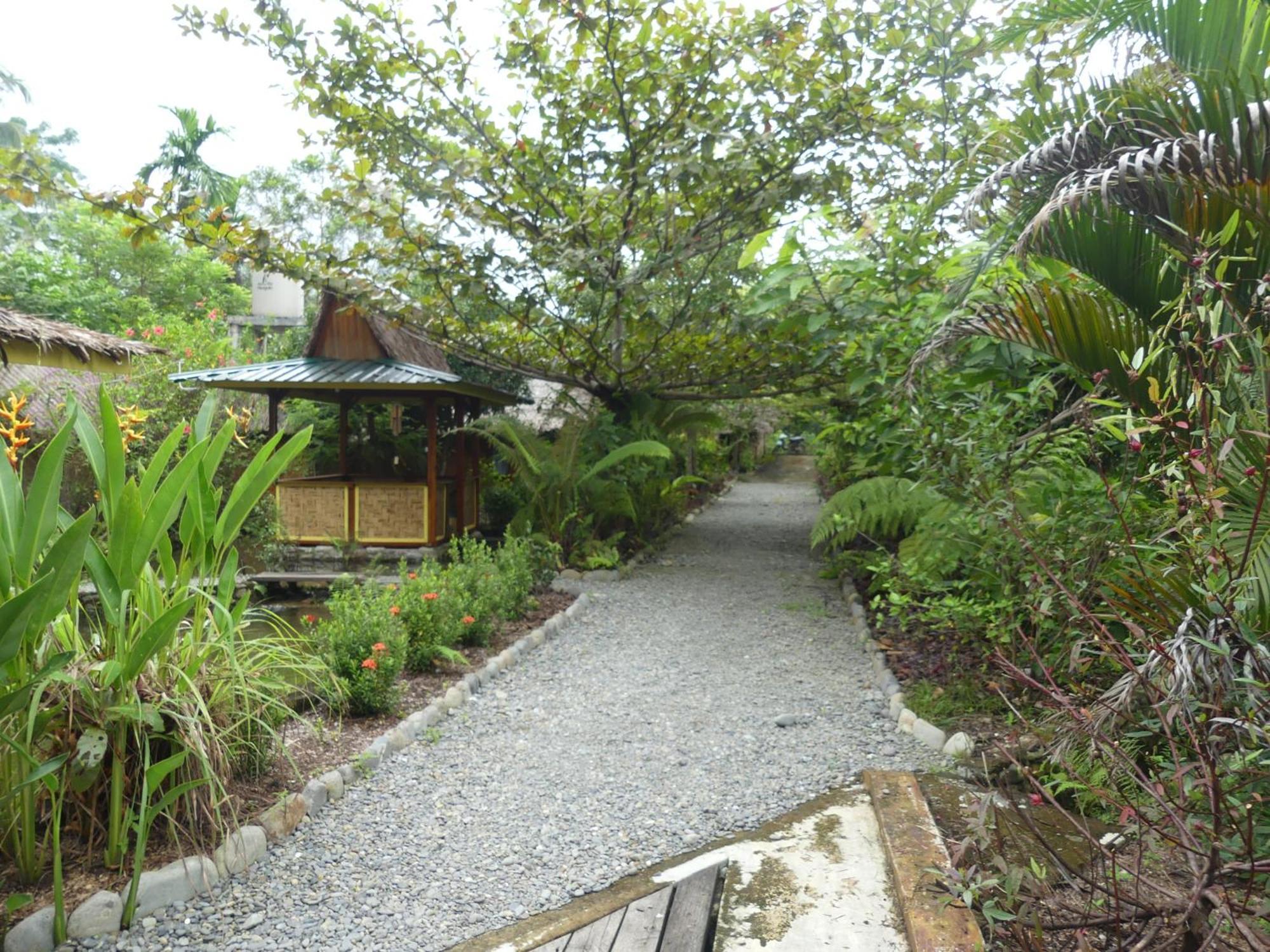Magpie Homestay & Jungle Trekking Especially For Guest Trekking With Us בוקיט לוואנג חדר תמונה