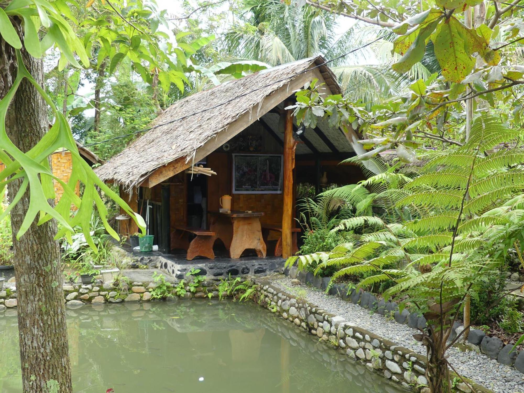 Magpie Homestay & Jungle Trekking Especially For Guest Trekking With Us בוקיט לוואנג מראה חיצוני תמונה